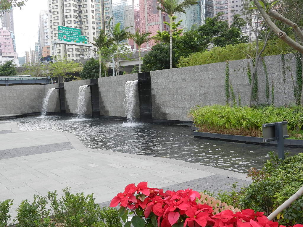 DSCN0300.JPG