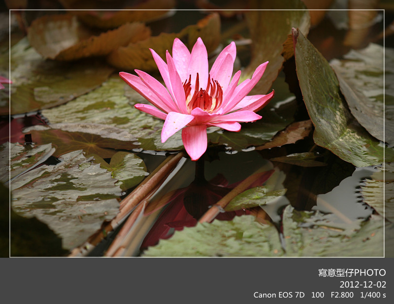IMG_5263_副本.jpg