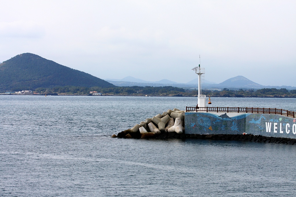 IMG_8175.JPG