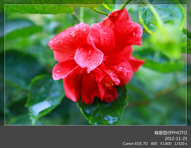 IMG_0919_副本.jpg