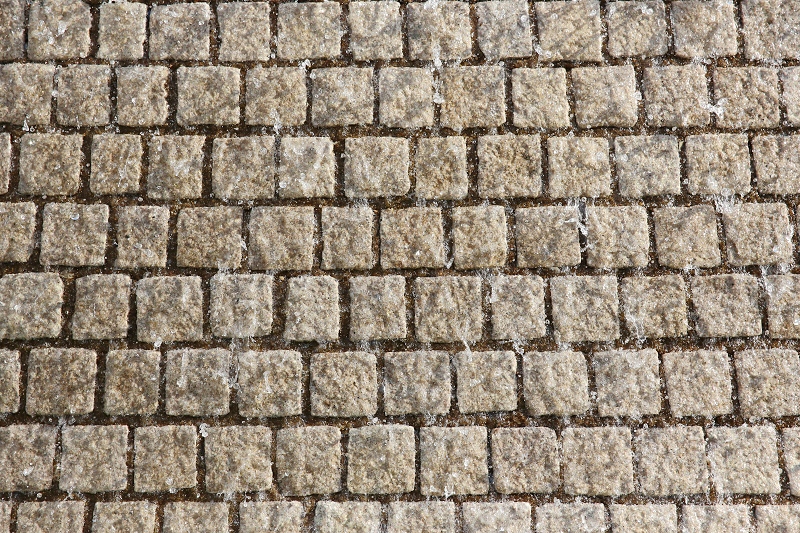 3P1A2754.JPG