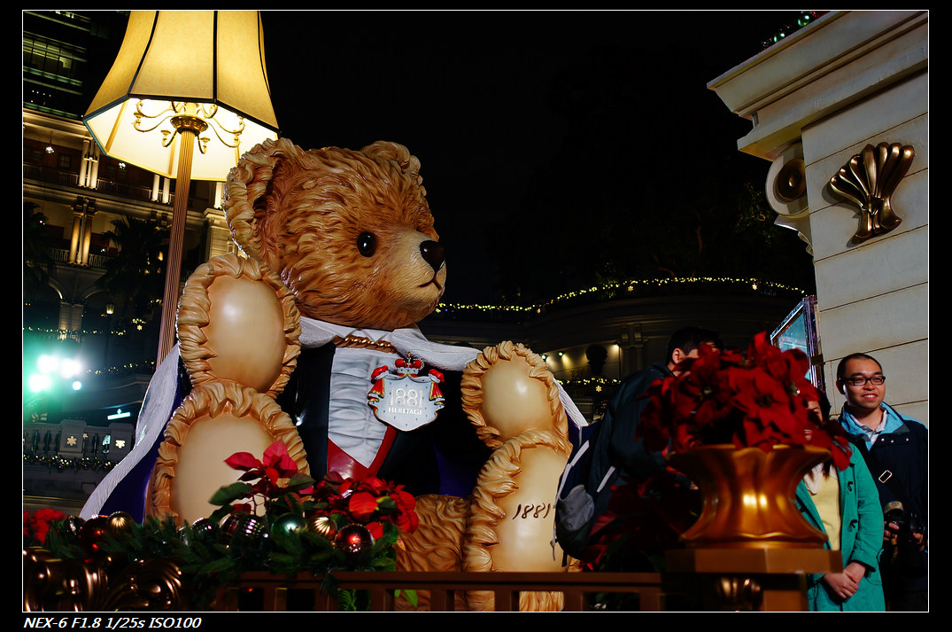 DSC01184.jpg