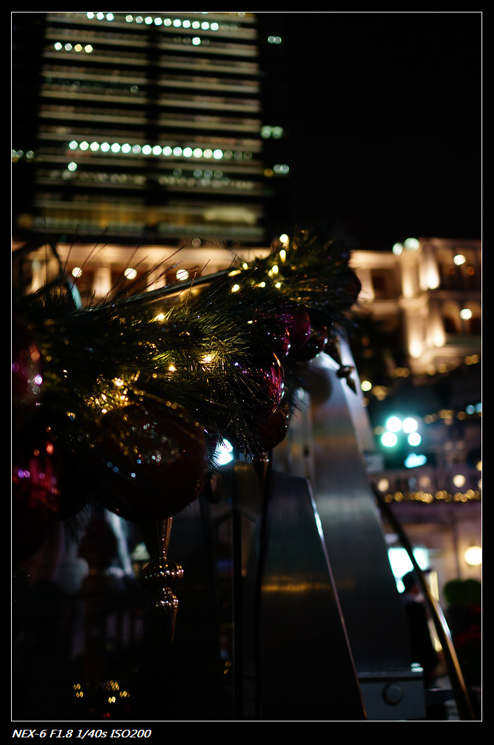DSC01192.jpg