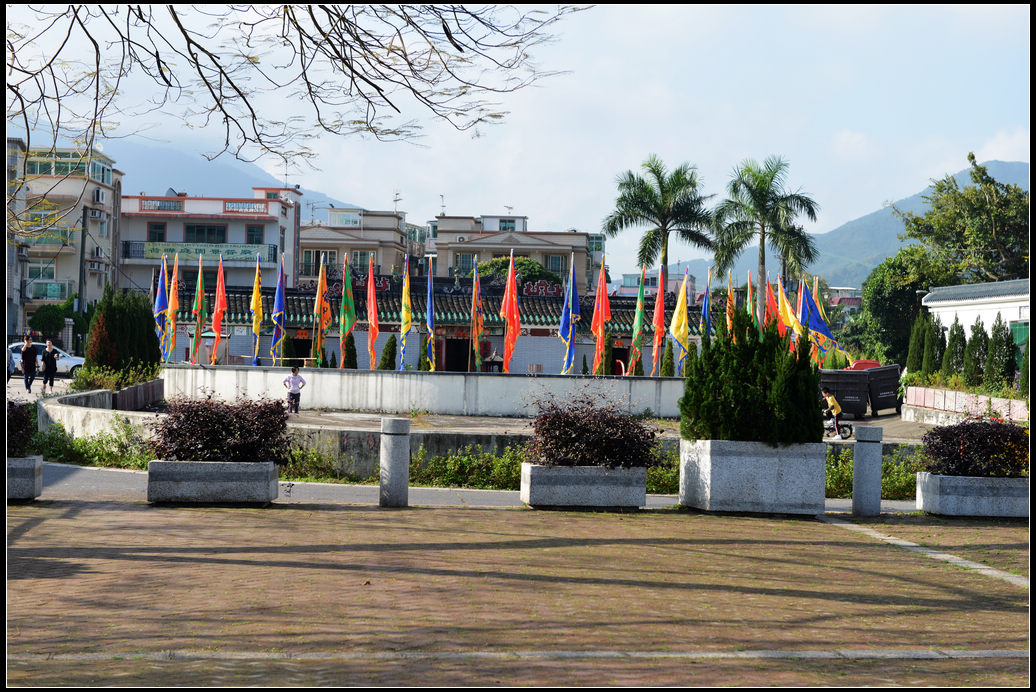 DSC_4225.jpg