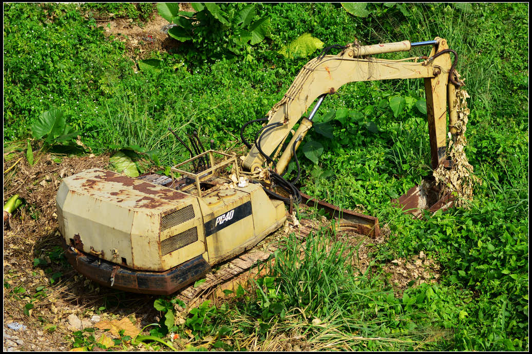 DSC_4276.jpg