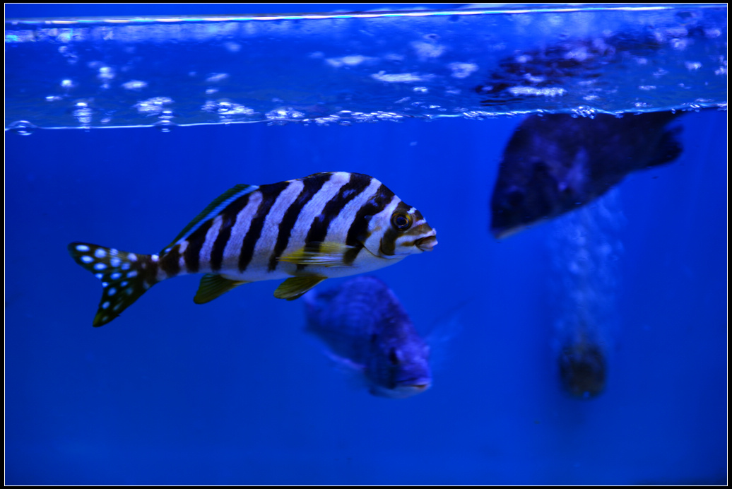 DSC_4531.jpg