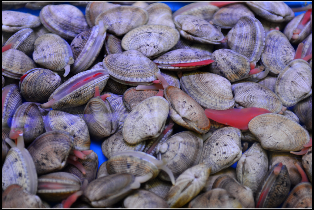 DSC_4540.jpg