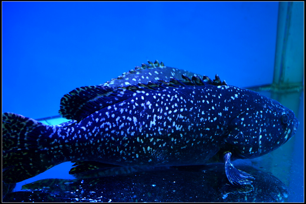 DSC_4545.jpg