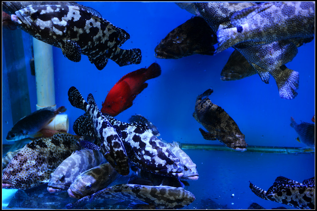 DSC_4547.jpg