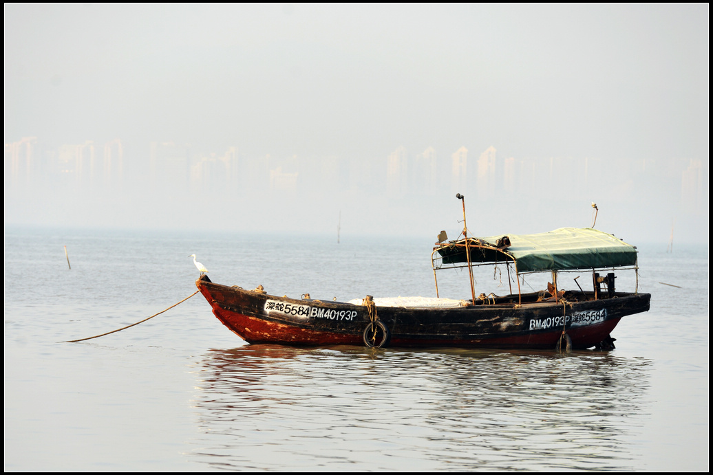 DSC_4449.jpg