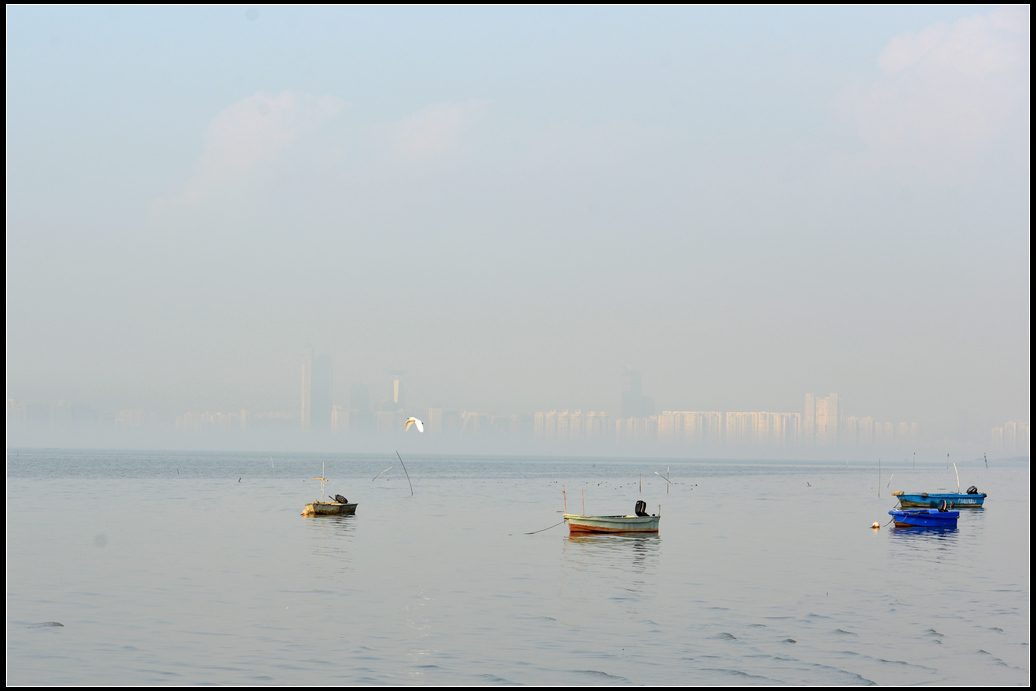 DSC_4453.jpg