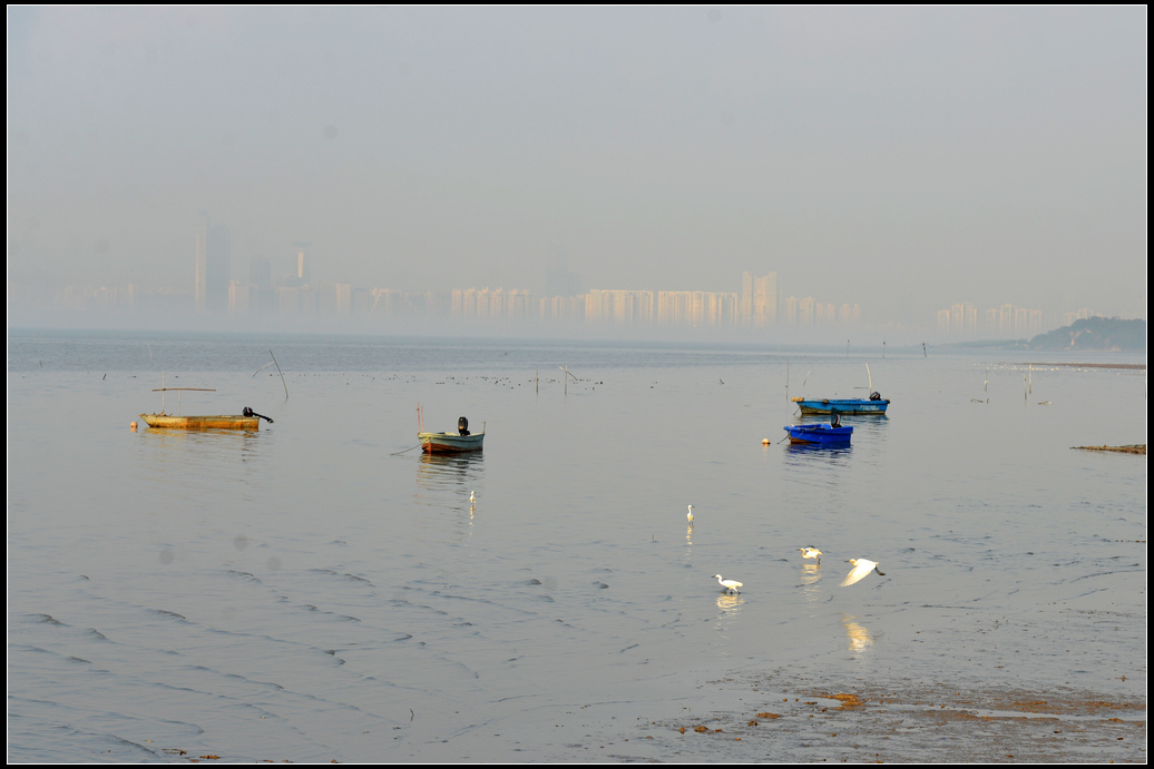 DSC_4484.jpg