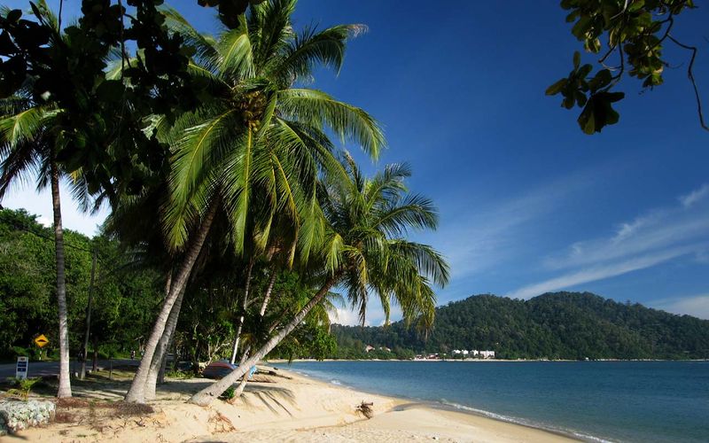 PANGKOR.jpg
