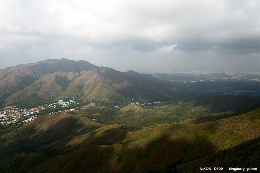 DSC_2336.jpg