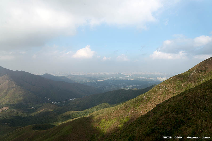DSC_2349.jpg