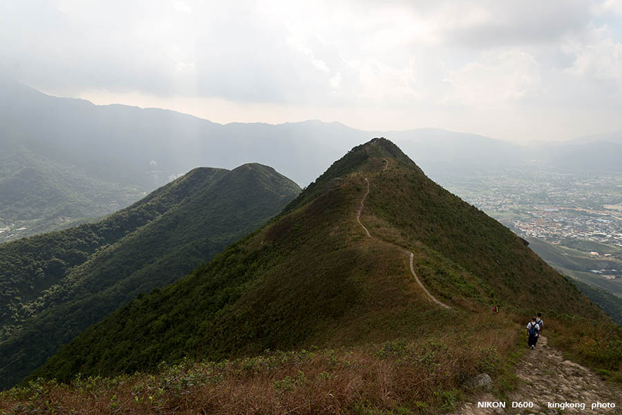 DSC_2351.jpg