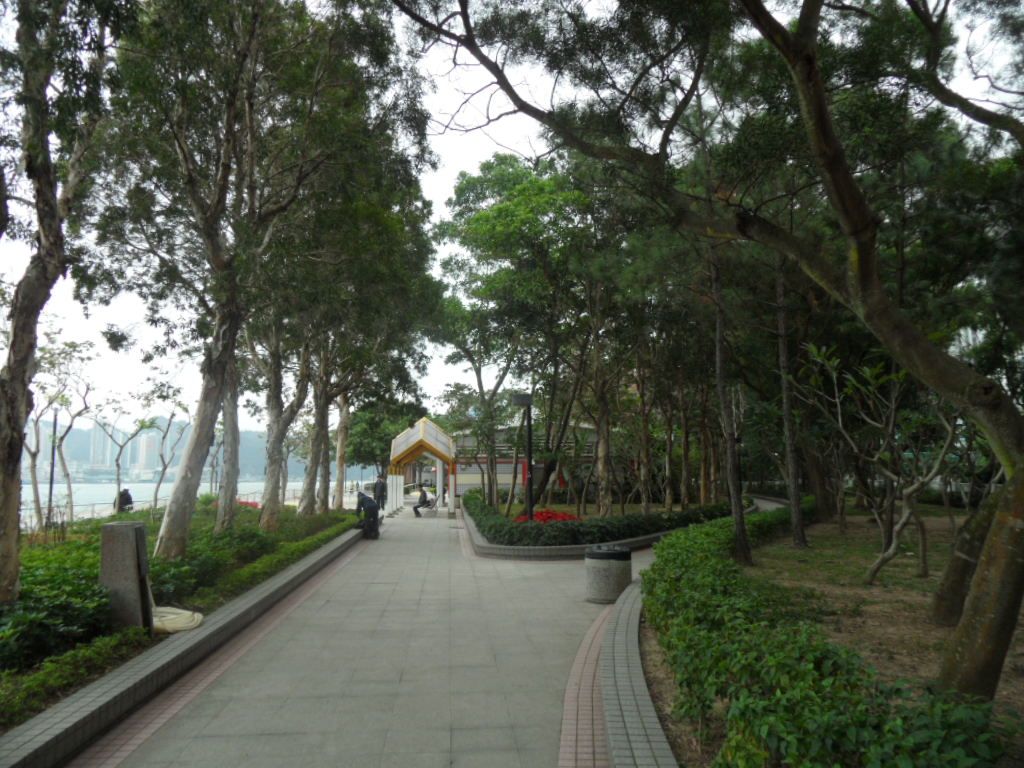 2 (10).JPG