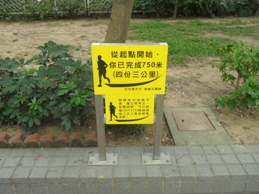 2 (11).JPG