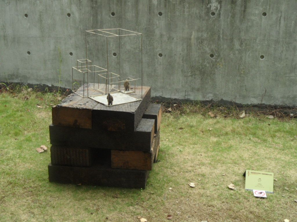 2 (17).JPG