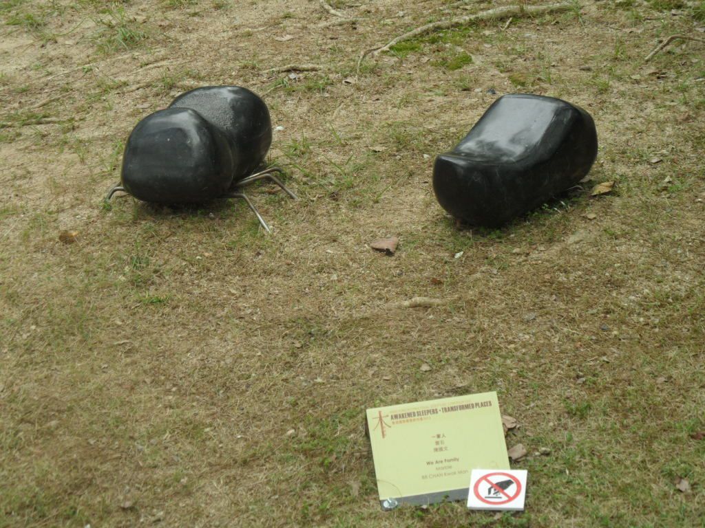 2 (23).JPG