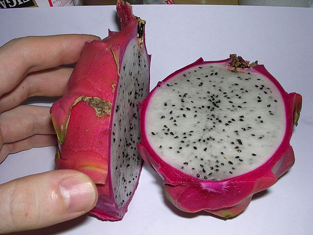 640px-Pitahaya-oliv.jpg