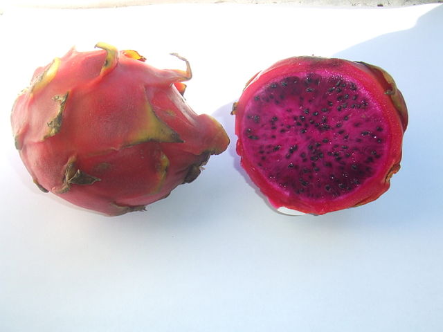 640px-Hylocereus_polyrhizus.jpg