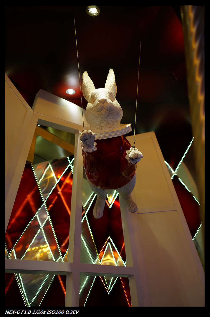 DSC01236.jpg