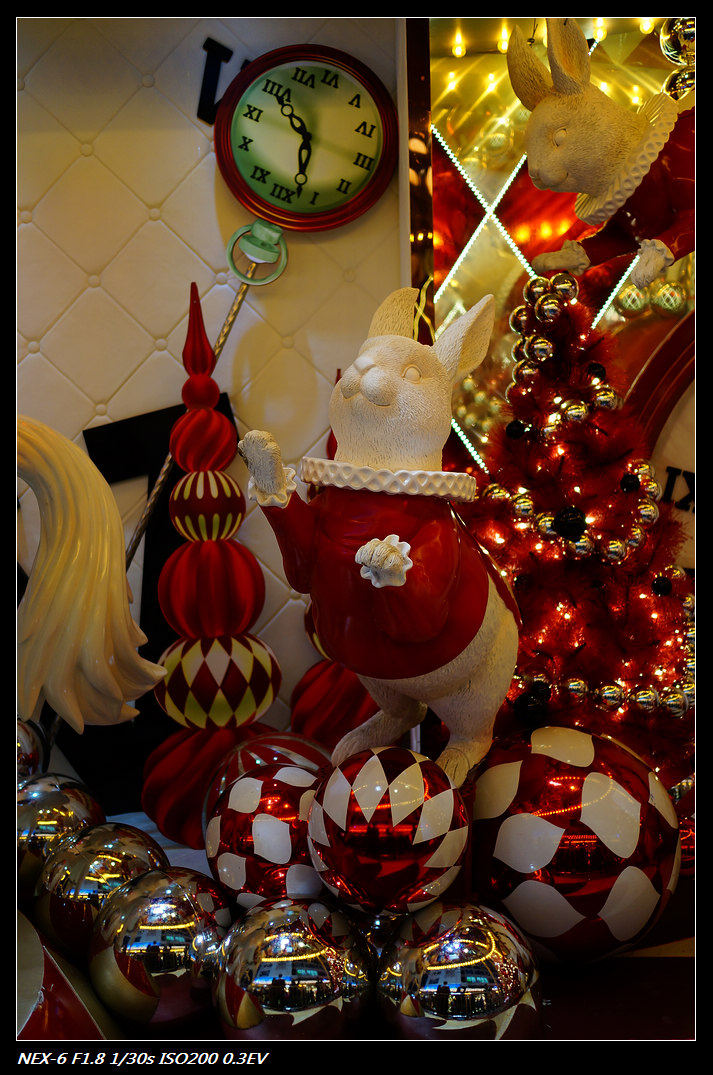 DSC01247.jpg