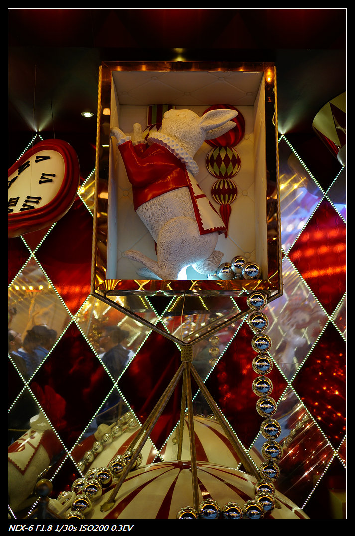 DSC01240.jpg