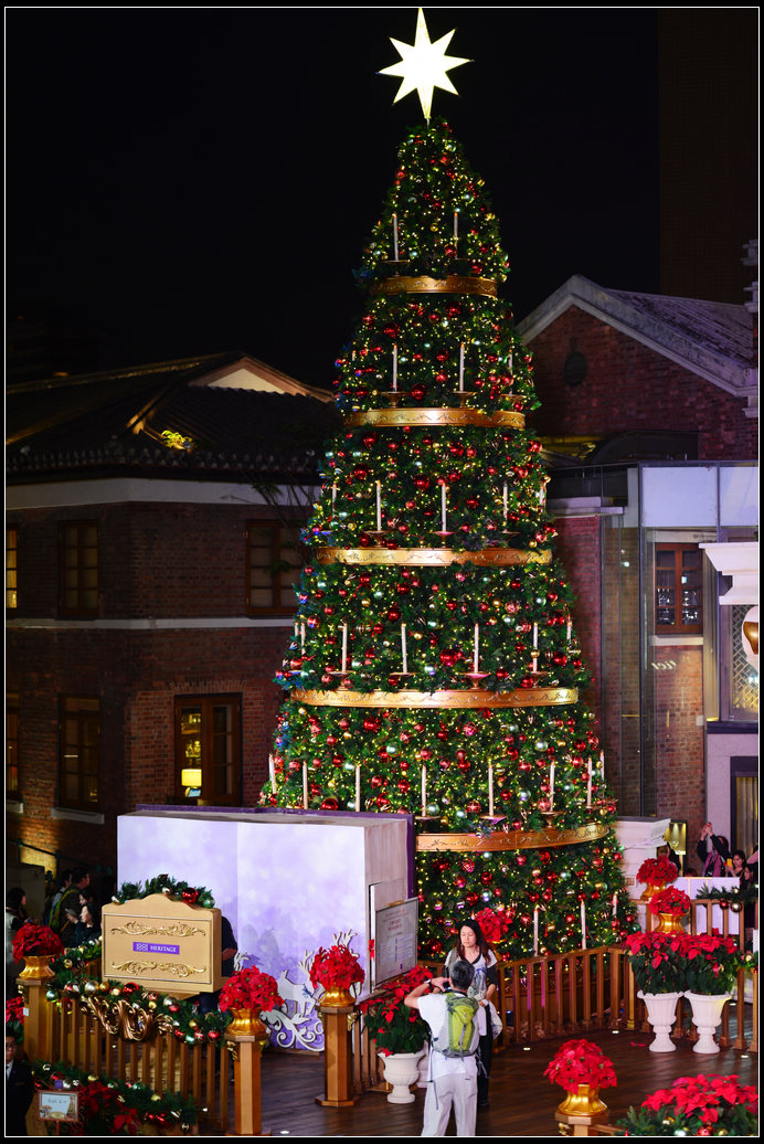 DSC_4764.jpg