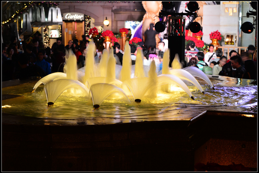 DSC_4804.jpg