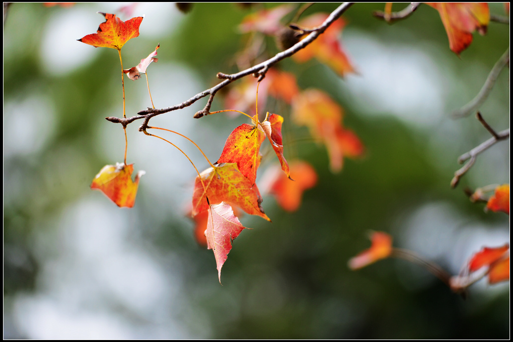 DSC_4856.jpg