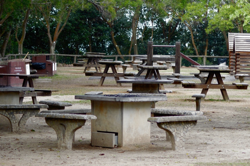 DT 032.JPG