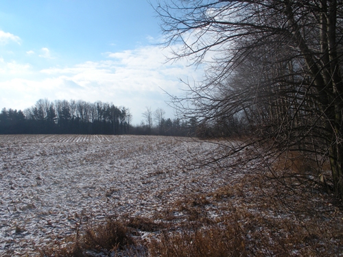 DSCN0238.JPG
