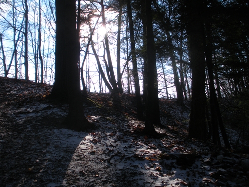 DSCN0233.JPG