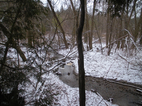DSCN0215.JPG