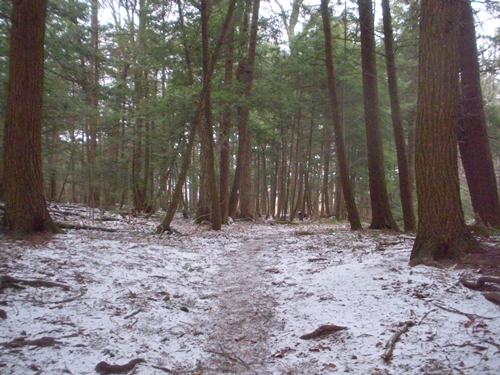 DSCN0198.JPG