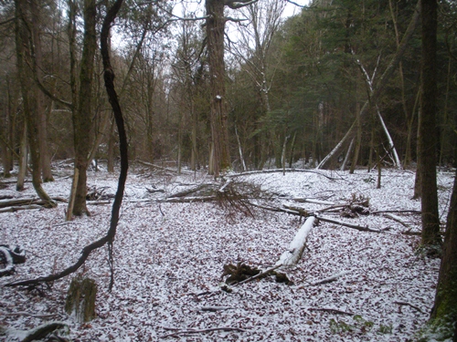 DSCN0195.JPG