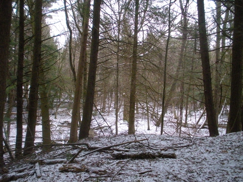 DSCN0193.JPG