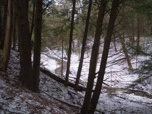 DSCN0189.JPG