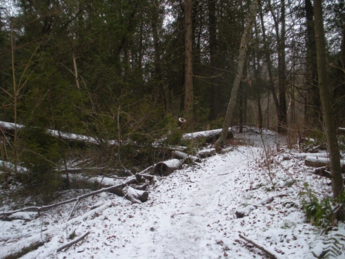 DSCN0182.JPG