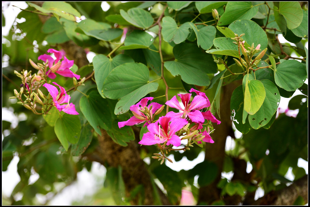 DSC_4859.jpg