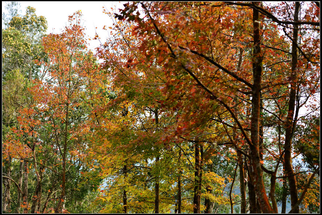 DSC_4911.jpg