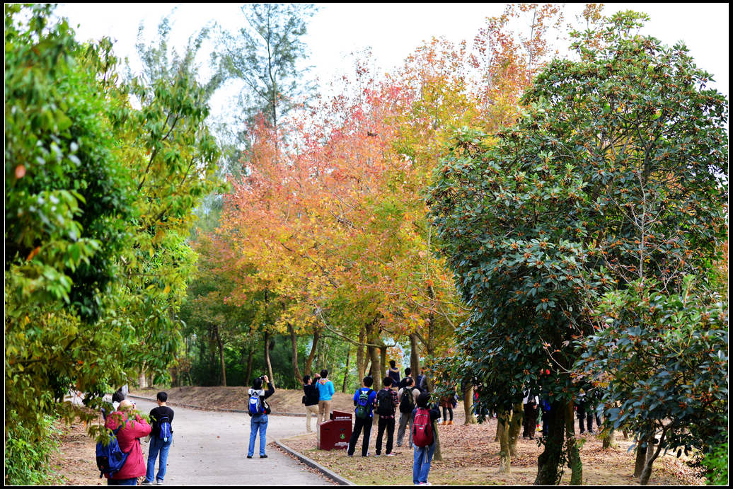 DSC_4921.jpg