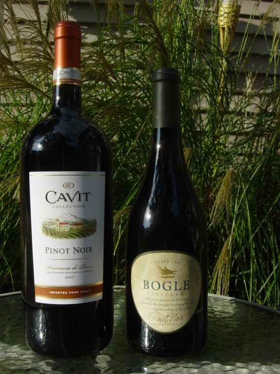 Pinot4.jpg