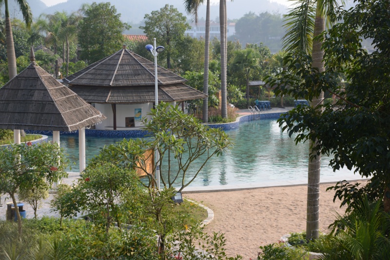 DSC_1984 [800x600].jpg