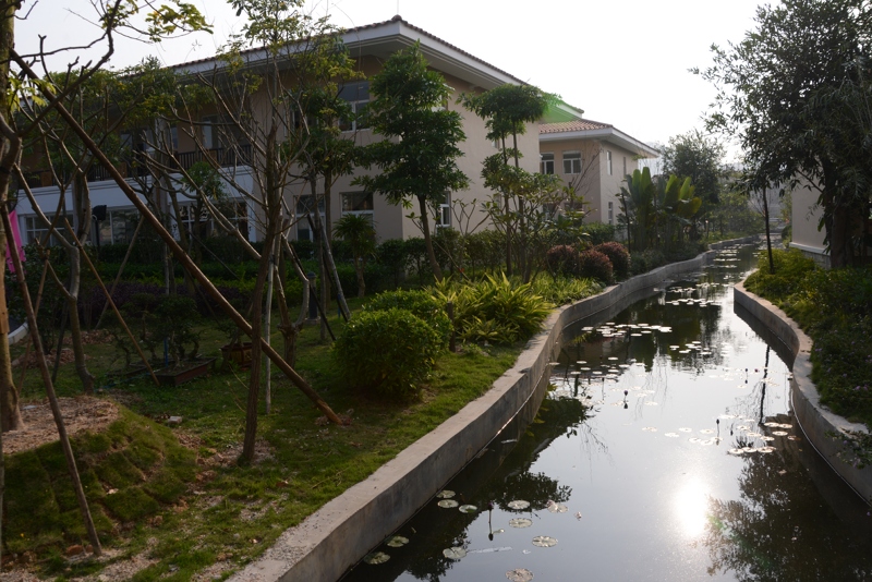 DSC_1988 [800x600].jpg