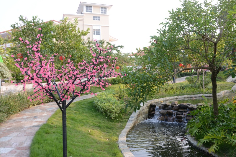 DSC_2006 [800x600].jpg