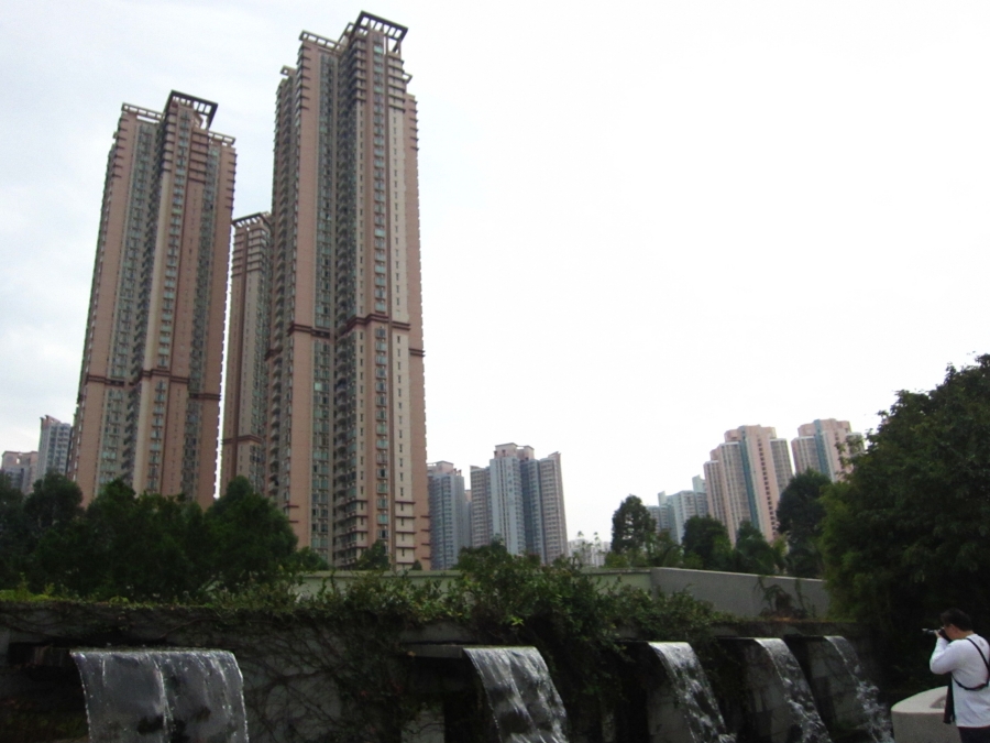 IMG_5230.JPG