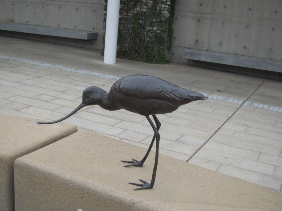 IMG_5211.JPG